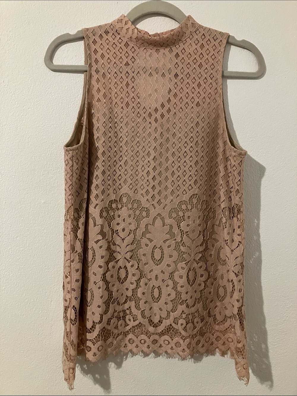 Love, Fire Sleeveless Lace Mock Neck Top in Blush with Fringe Edge